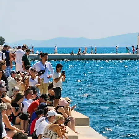 شقة Zadria New Center App *