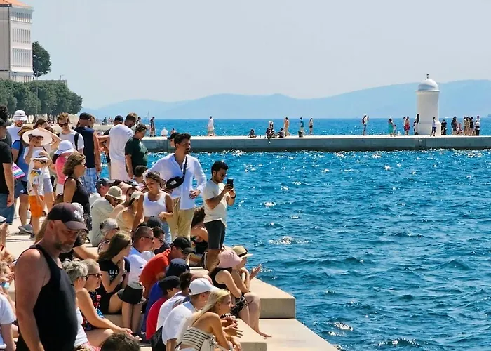 Apartment Zadria New Center App *